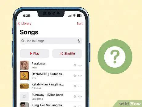 How to Find Out How Many Songs You Have on Apple Music: A Journey Through the Library